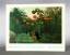 Rousseau, Henri - Cornelia Stabenow (Tex