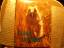 Burton, John A: Eulen der Welt Burton, John A: Eulen der Welt