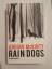 Adrian McKinty: Rain Dogs