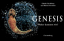 Cornelia Panzacchi: GENESIS. Wo kommen w