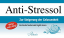 Franz Hübner: Anti-Stressol: Zur Steiger