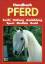 Peter Thein: Handbuch Pferd. Zucht - Hal