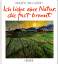 Gogh, Vincent van: Ich liebe eine Natur,