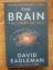 David Eagleman: Brain