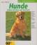 Ullmann, Hans J: Hunde halten mit Herz u