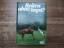 gebrauchtes Buch – Ursula Bruns – Reiten ohne Angst? Gefahren kennen und erkennen. – Bild 1