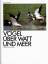 Georg Quedens: Vögel über Watt und Meer.