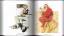 gebrauchtes Buch – Christoper Finch – Norman Rockwell - 332 Couvertures de Magazines – Bild 2