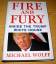 Michael Wolff: Fire and Fury. Inside the