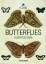 Albertus Seba: Butterflies & Insects. Sc