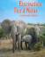 gebrauchtes Buch – Detlef Singer – Faszination Tiere & Natur – Bild 1