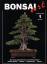 M. Kros u.a.: Bonsai Art Heft 1 bis 149 