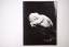 Anne Geddes: UNTIL NOW PHOTOFOLIO.