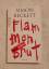 Simon Beckett: Flammenbrut