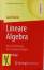 Gerd Fischer: Lineare Algebra : eine Ein