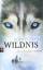 Roddy Doyle: Wildnis. Aus dem Englischen