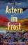 Anne Birk: Astern im Frost. Roman.