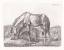 Klein, Johann Adam (1792-1875): "Das gra