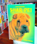 Karen Kleinhans: Shar-Pei heute