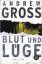 Andrew Gross: Blut und Lüge