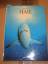 Andrew Cleave: Haie