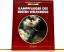 Ezra Bowen: Kampfflieger des Ersten Welt Ezra Bowen: Kampfflieger des Ersten Welt
