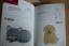 gebrauchtes Buch – Eva Möller – Baby Handzeichen – Bild 4