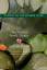Arundhati Roy: The God of Small Things Arundhati Roy: The God of Small Things