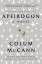 neues Buch – Colum McCann – Apeirogon – Bild 1