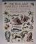 Merian, Matthaeus und Joannes Jonstonus: Merian, Matthaeus und Joannes Jonstonus: