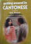 Nona Binstead: Getting Around in Cantone