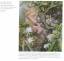 gebrauchtes Buch – Jeffery Whiting  – Artists for Conservation 2015 International Exhibit of Nature in Ar – Bild 7