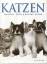 Claire Bessant: Katzen. Charakter & Verh