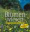 Witt, Reinhard und Bernd Dittrich: Blume