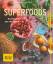 Susanna Bingemer: Superfoods : Kraftpake