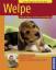 Brigitte Harries: Welpe