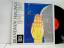 Various: Brandnew Feelings