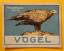 Vögel