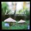 Charles Lindsay: More Lost Balls: Wenn G