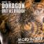 Markus Topf: Doragon - Brut des Drachen,