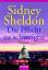 Sheldon, Sidney und Gerhard Beckmann: Di