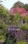 Judy Astley: Garten der Hoffnung : Roman Judy Astley: Garten der Hoffnung : Roman