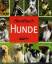 verschiedene: Handbuch Hunde