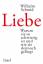 Wilhelm Schmid: Liebe: Warum sie so schw