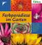 Sue Fisher: Farbparadiese im Garten Fish Sue Fisher: Farbparadiese im Garten Fish