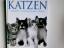 Claire Bessant: Katzen