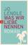 Jo Lendle: Was wir Liebe nennen: Roman R