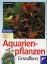 Peter Beck: Aquarienpflanzen Grundkurs: 