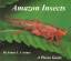 Castner, James L.: Amazon Insects: A Pho