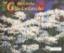 Roland Leonhardt: Herzliche Glückwünsche Roland Leonhardt: Herzliche Glückwünsche